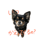 ハッピーチワワ（個別スタンプ：7）