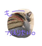 スフィンクスの小桃ちゃん（個別スタンプ：6）