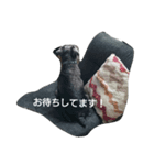ShimaRiku2（個別スタンプ：8）