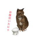 coo＆moca2（個別スタンプ：3）