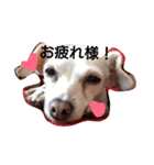 Blanca's stickers（個別スタンプ：1）