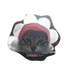 はくとラテ（個別スタンプ：1）