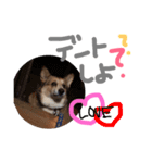 gnk（個別スタンプ：4）