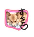 gnk（個別スタンプ：6）