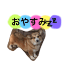 gnk（個別スタンプ：8）