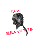 我が家のたいがぁさん。（個別スタンプ：3）