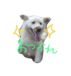 ムックからあいさつ（個別スタンプ：6）