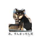 BLACK DOGMAN（個別スタンプ：5）