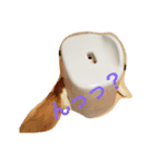 こおりとモコ（個別スタンプ：5）