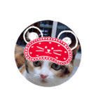 デブゴロニャン（個別スタンプ：8）