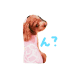 シェリーといっしょ（個別スタンプ：3）