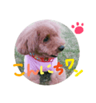 kurosuchan（個別スタンプ：3）