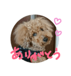 kurosuchan（個別スタンプ：4）