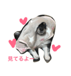 ♡moca♡（個別スタンプ：1）