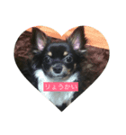 ♡moca♡（個別スタンプ：5）
