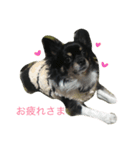 ♡moca♡（個別スタンプ：7）