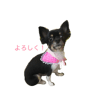 ♡moca♡（個別スタンプ：8）