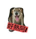 LOVE Q BABY（個別スタンプ：1）