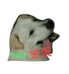 LOVE Q BABY（個別スタンプ：3）