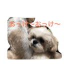 ちーくー（個別スタンプ：6）
