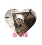 ちーくー（個別スタンプ：8）