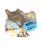 いくらちゃんスタンプ♥（個別スタンプ：1）