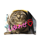 いくらちゃんスタンプ♥（個別スタンプ：5）