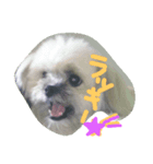 paruritan2（個別スタンプ：1）
