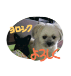 paruritan2（個別スタンプ：4）