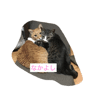 mugi＆kiki  2（個別スタンプ：2）