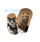mugi＆kiki  2（個別スタンプ：5）