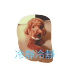 Can I help you？（個別スタンプ：3）