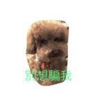 Can I help you？（個別スタンプ：6）