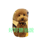 Can I help you？（個別スタンプ：7）