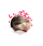mira-san（個別スタンプ：5）