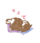 JP HOUSE Bunnies（個別スタンプ：1）