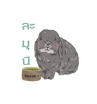 JP HOUSE Bunnies（個別スタンプ：5）