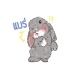 JP HOUSE Bunnies（個別スタンプ：21）