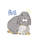 JP HOUSE Bunnies（個別スタンプ：24）