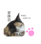 nyan's 01（個別スタンプ：5）