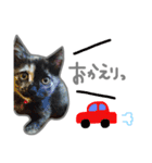 nyan's 01（個別スタンプ：15）