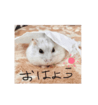 大天使フモエル（個別スタンプ：4）