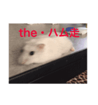 大天使フモエル（個別スタンプ：6）