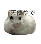 大天使フモエル（個別スタンプ：7）