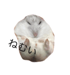 大天使フモエル（個別スタンプ：8）