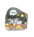 海とタイガ2（個別スタンプ：7）