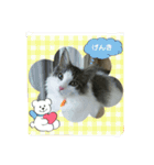 海とタイガ2（個別スタンプ：9）