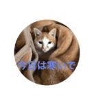 イナとイオン（個別スタンプ：3）