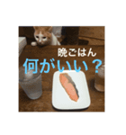 イナとイオン（個別スタンプ：4）