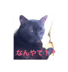 イナとイオン（個別スタンプ：8）